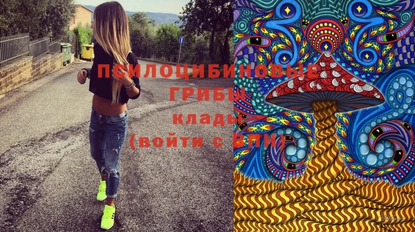 apvp Зеленодольск