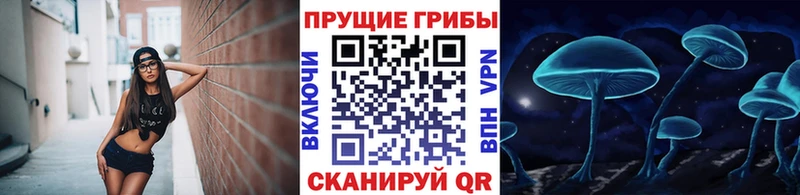 Галлюциногенные грибы мицелий  Назрань 
